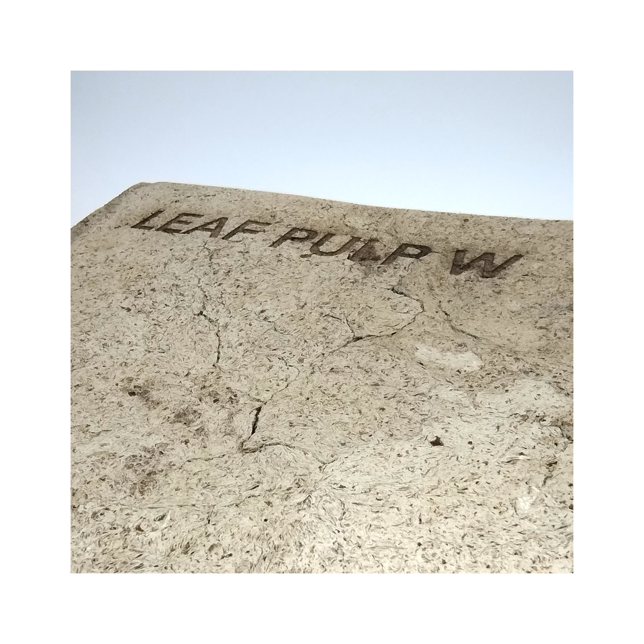 Leaf Pulp Image 3